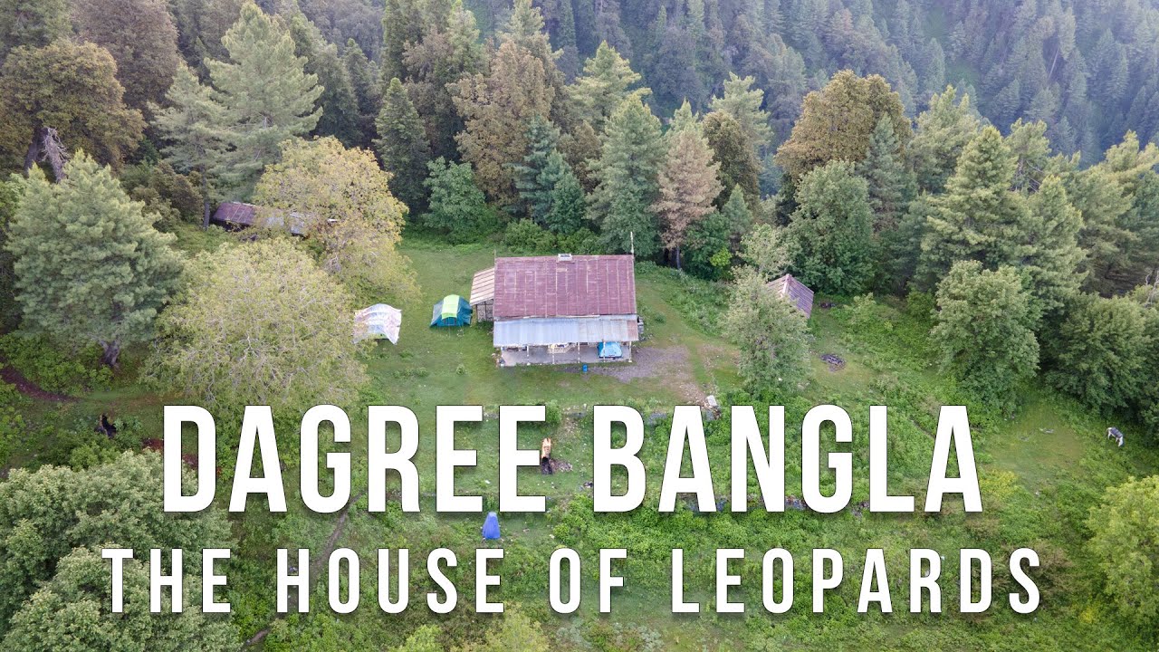 Trekking to Miranjani Peak and Dagree Bangla (Complete Extended Guide)