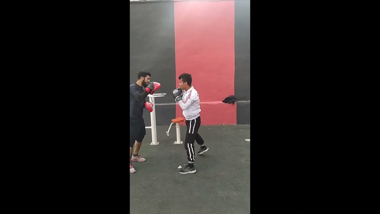 Can Saki Clip (2020-2022)