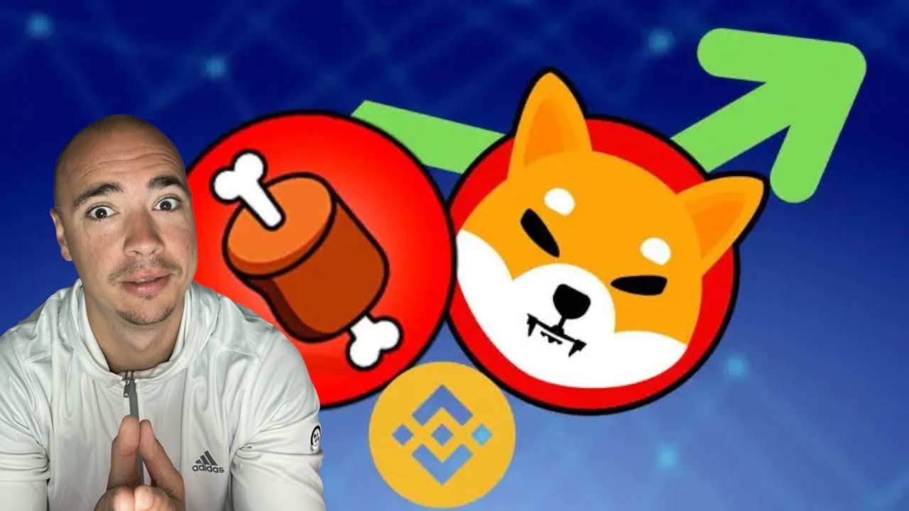 SHIBA INU'S BONE TOKEN HEADING FOR BINANCE?