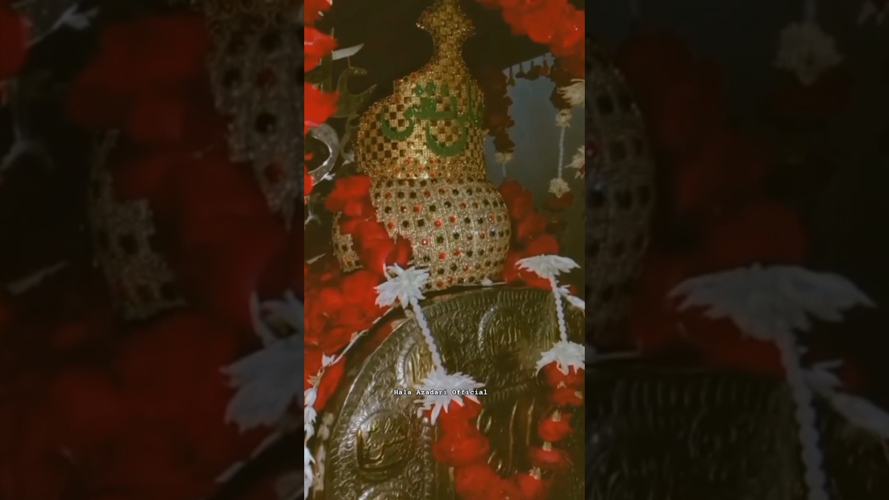Taboot Bar Aamadgi Imam Ali Naqi as | 3 Rajab 2025/1446 #matamdari #halaparty #viralvideo #foryou