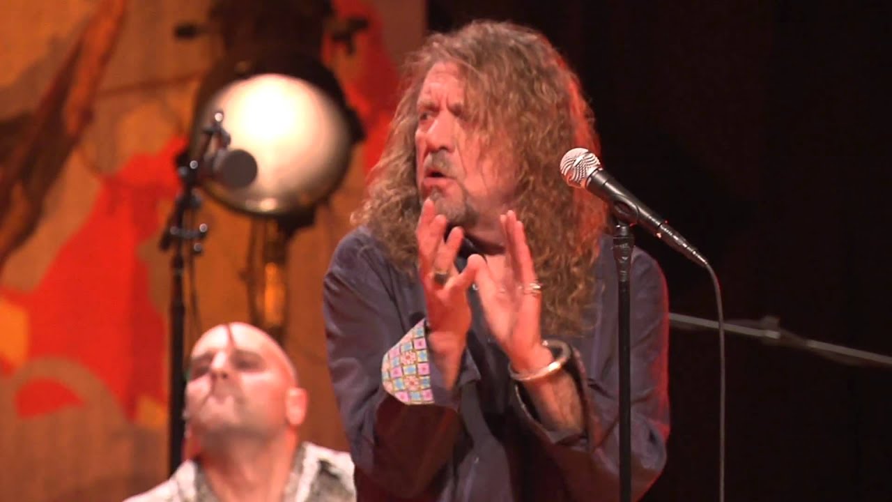 ROBERT PLANT BLACK DOG