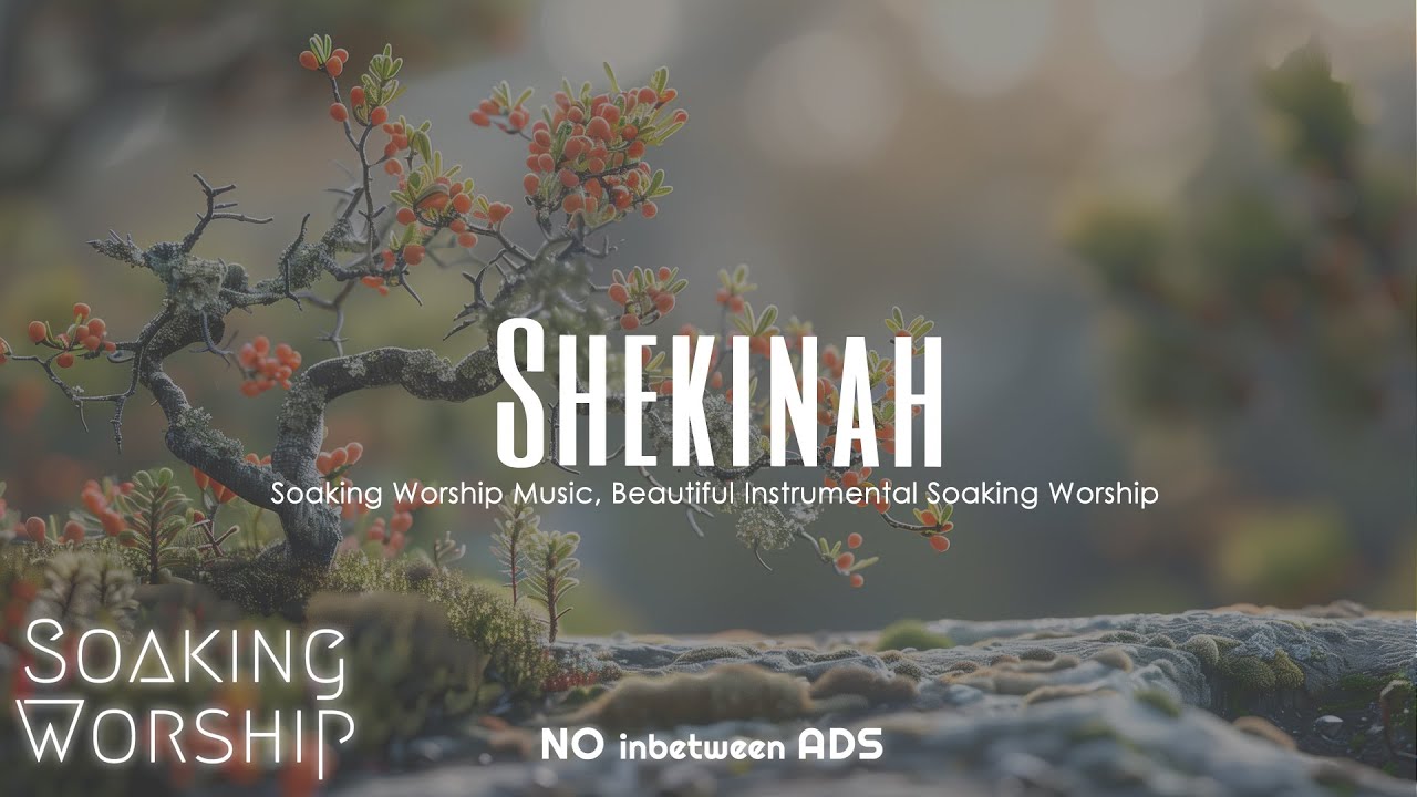 Instrumental Worship Music for Prayer | Peaceful Background Music | Soothing