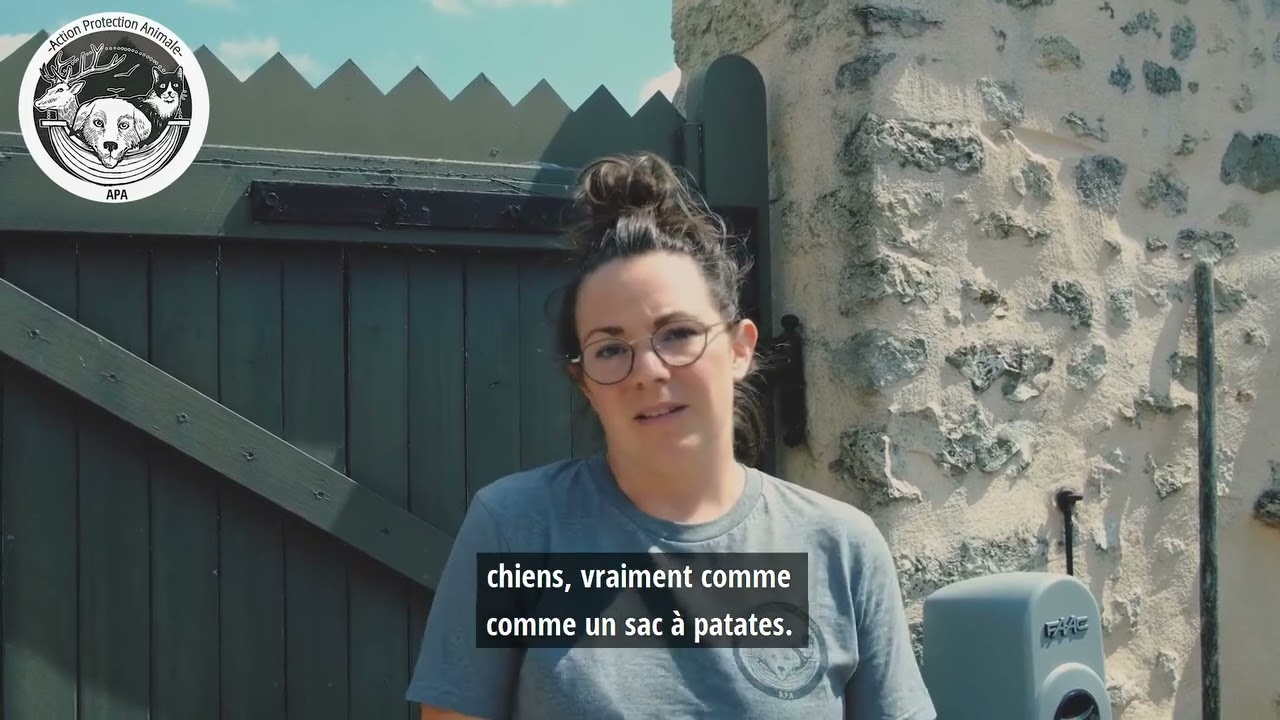 Ils vivaient entassés les uns sur les autres dans des caisses de transport à chat