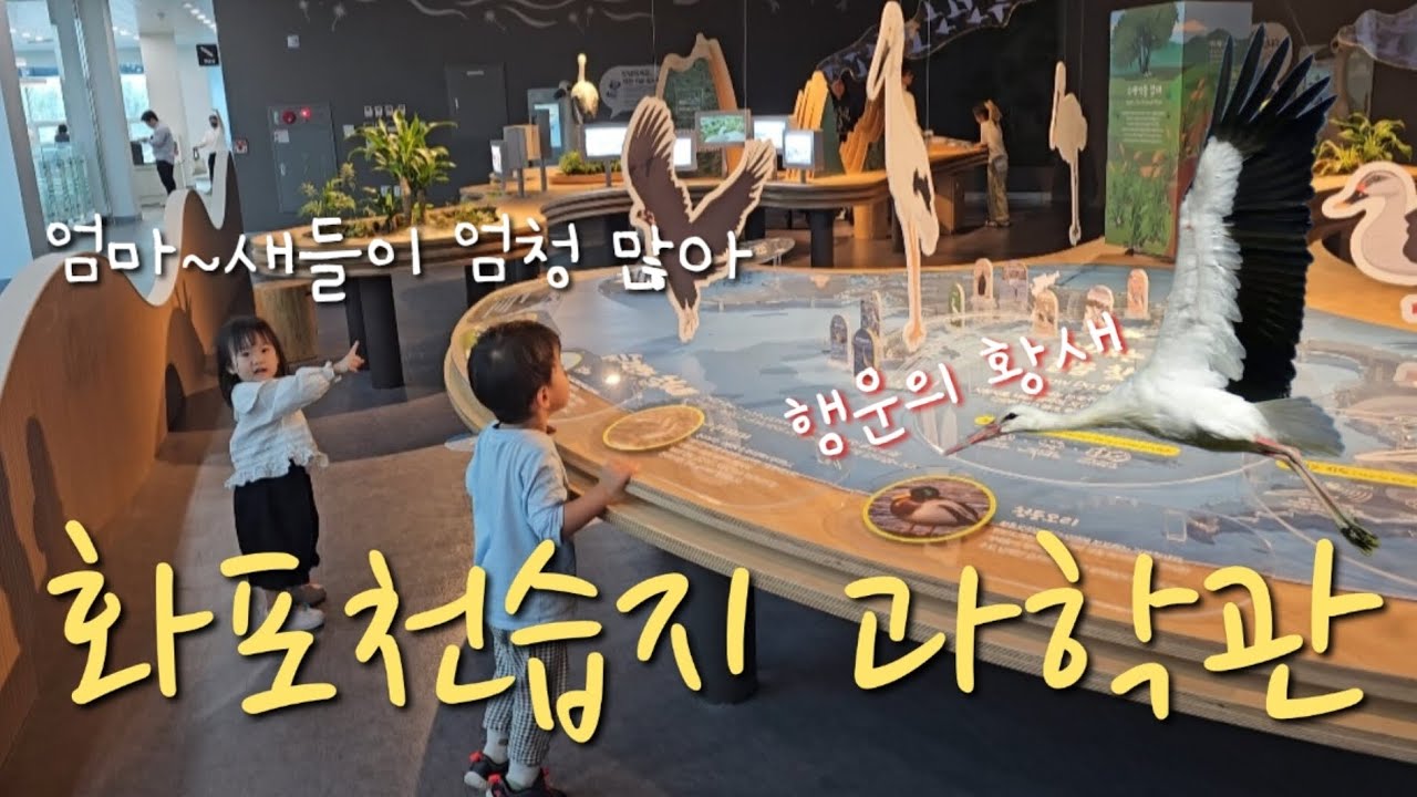 육아vlog. 어린이집 땡땡이 치고 황새 보러 왔어요🕊🐦 김해 화포천습지 과학관🦤🦅