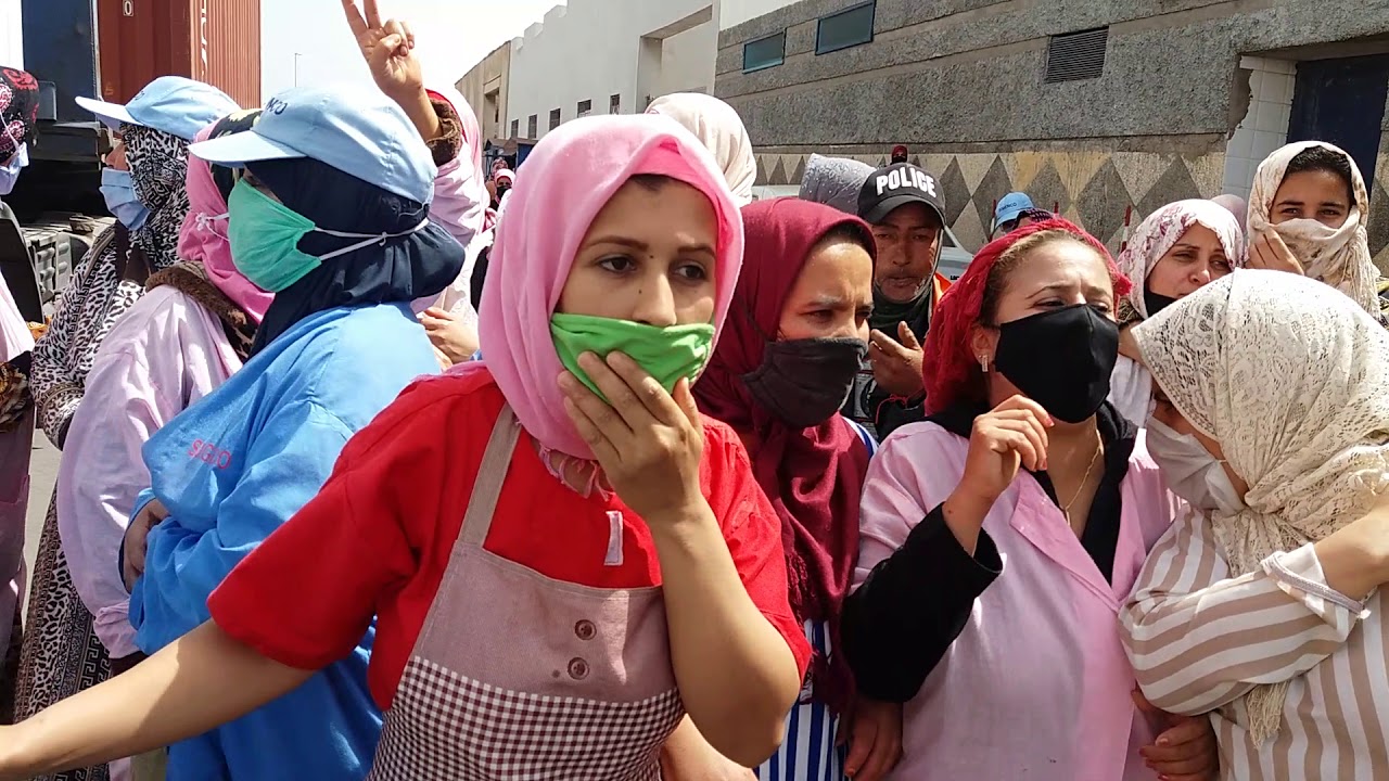 محمد عكوري/عاملات معمل تصبير السمك
