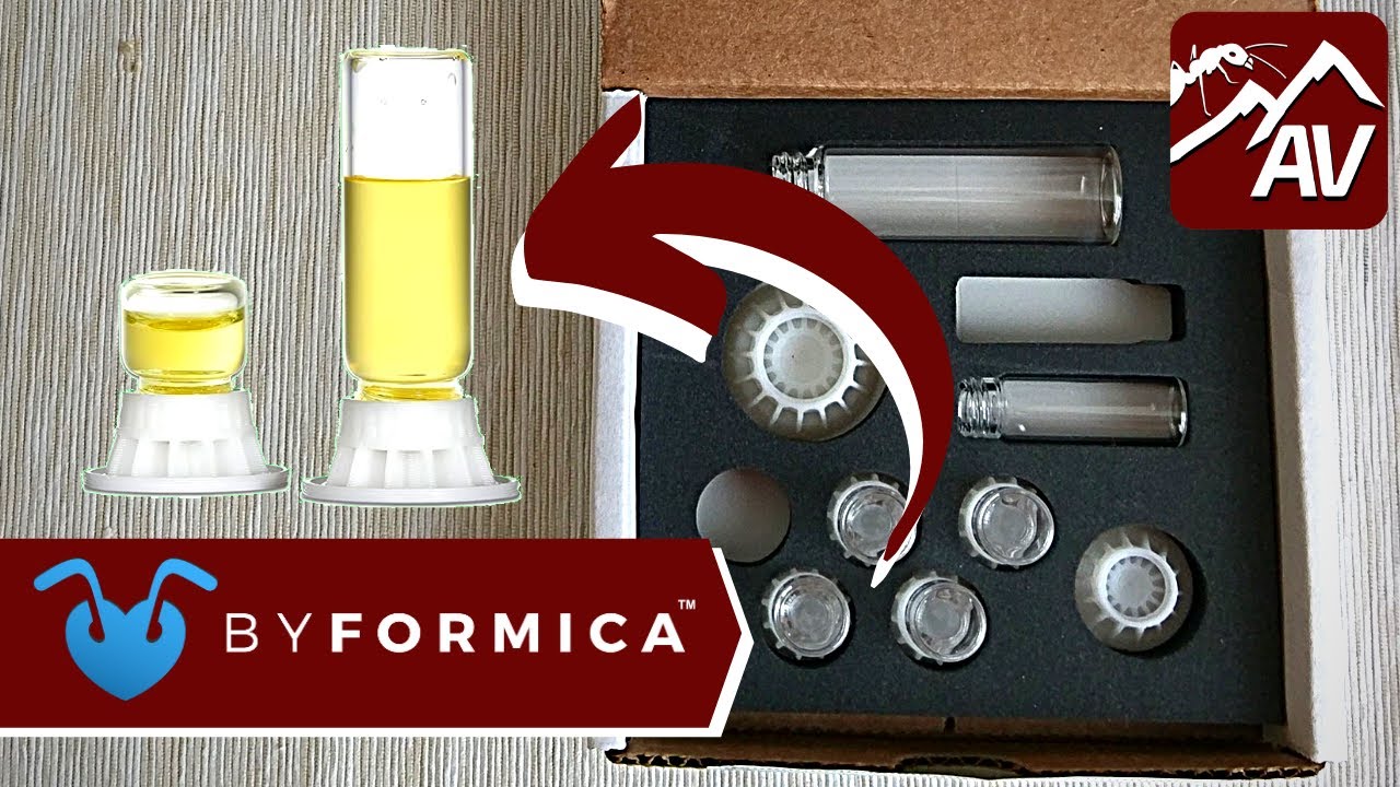 BYFORMICA: Liquid Ant Feeders - Product Review