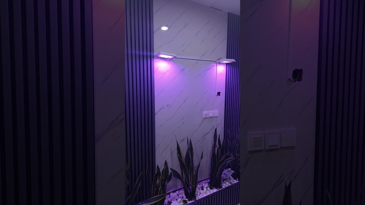 adjustable grow lights ive made for my friends sansevieria #ledgrowlights #growbar  #growlighting