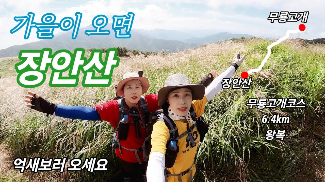 2025년 9월 6일/가을이 왔어요 숨겨진 명소 장안산 억새/  가성비 억새명소 /전북장수/무룡고개코스 산책길같이 편안한길입니다