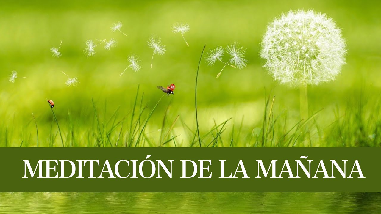 Meditación para la Mañana 25 min