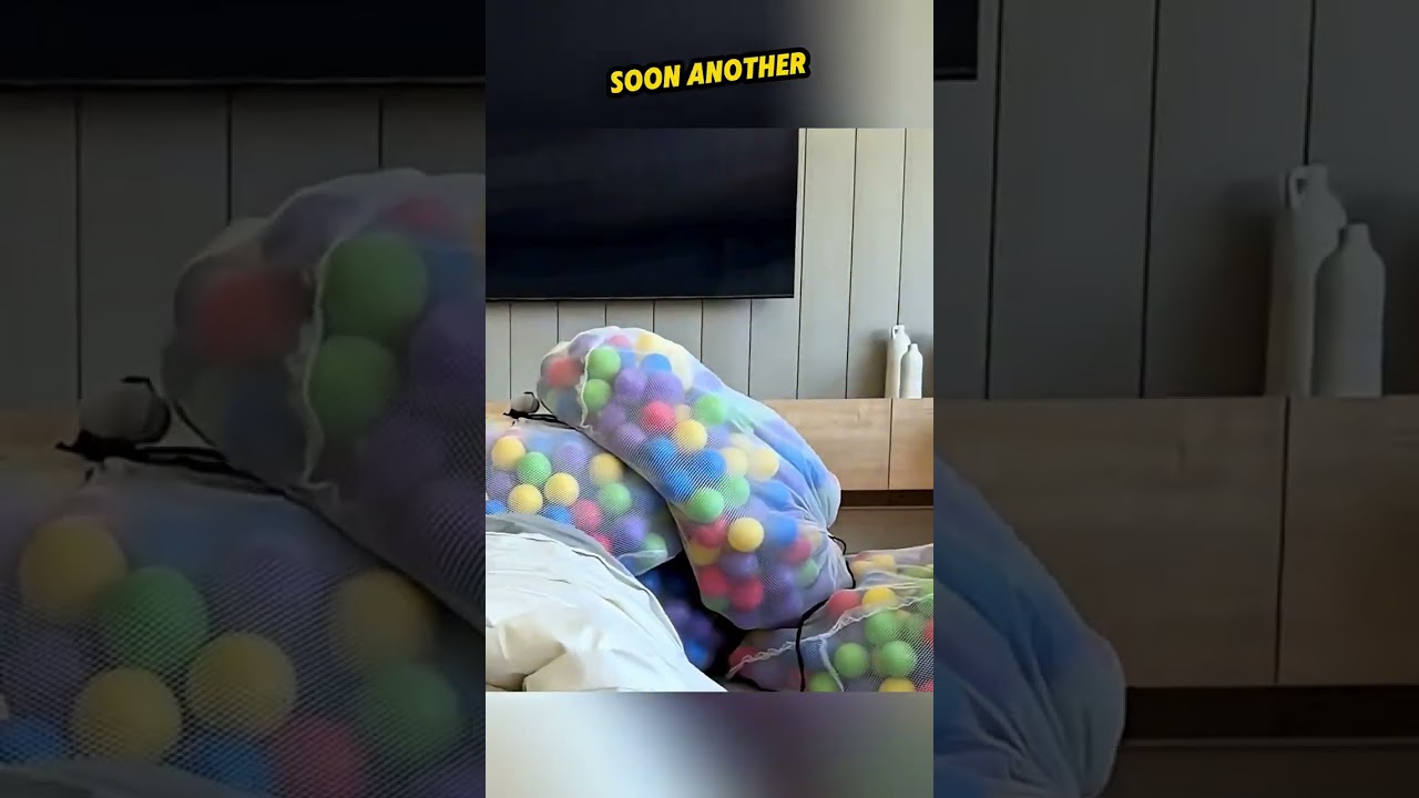Ball Paradise for Dogs 🐶🎈 