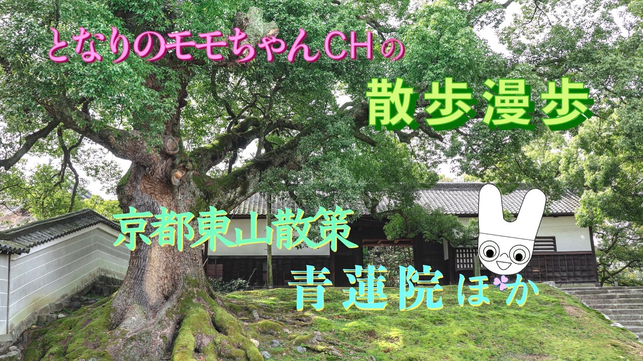 京都青蓮院