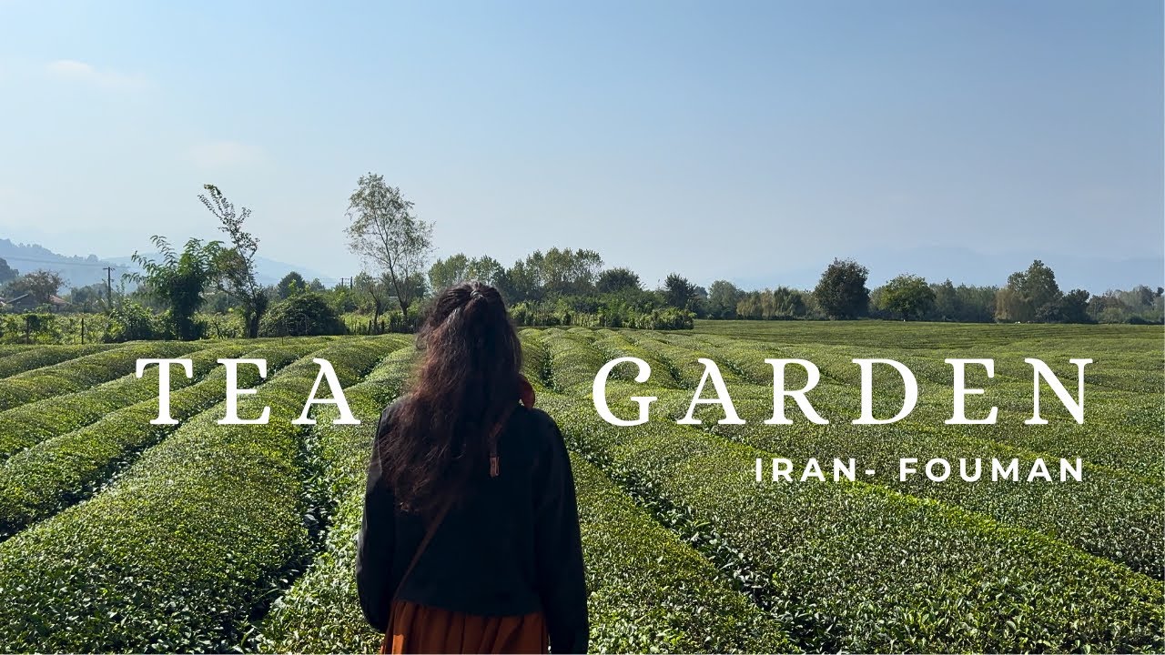 The Incredible Countryside Tea Garden, Cozy Cafe & Nature Escape