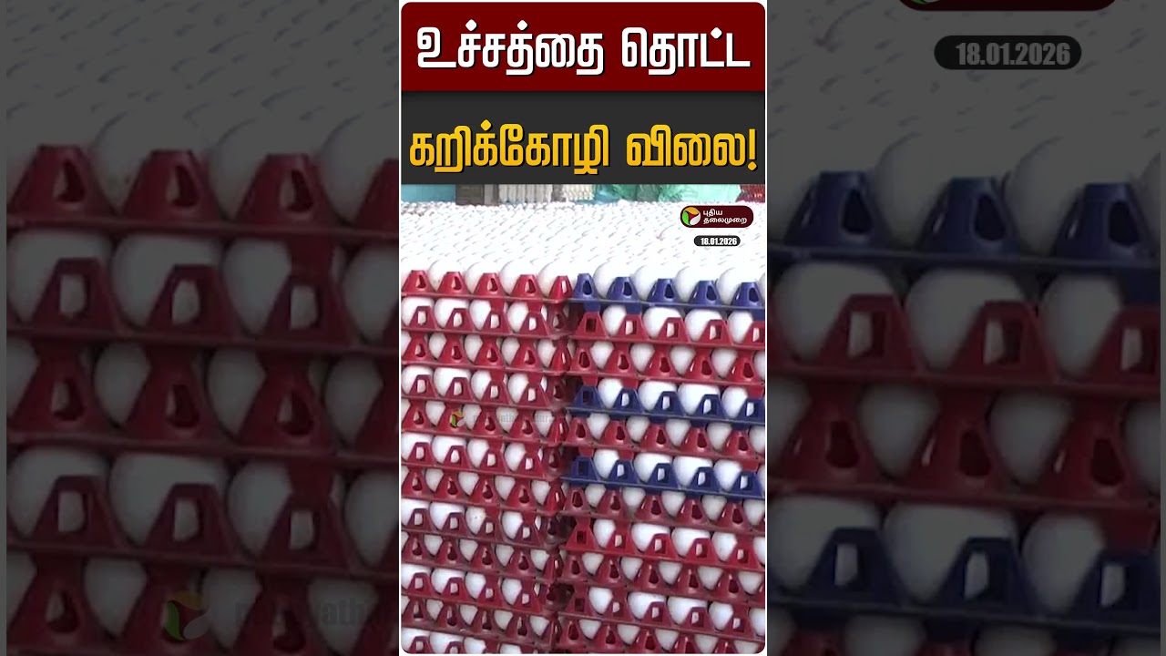 உச்சத்தை தொட்ட கறிக்கோழி விலை! | Chicken Price