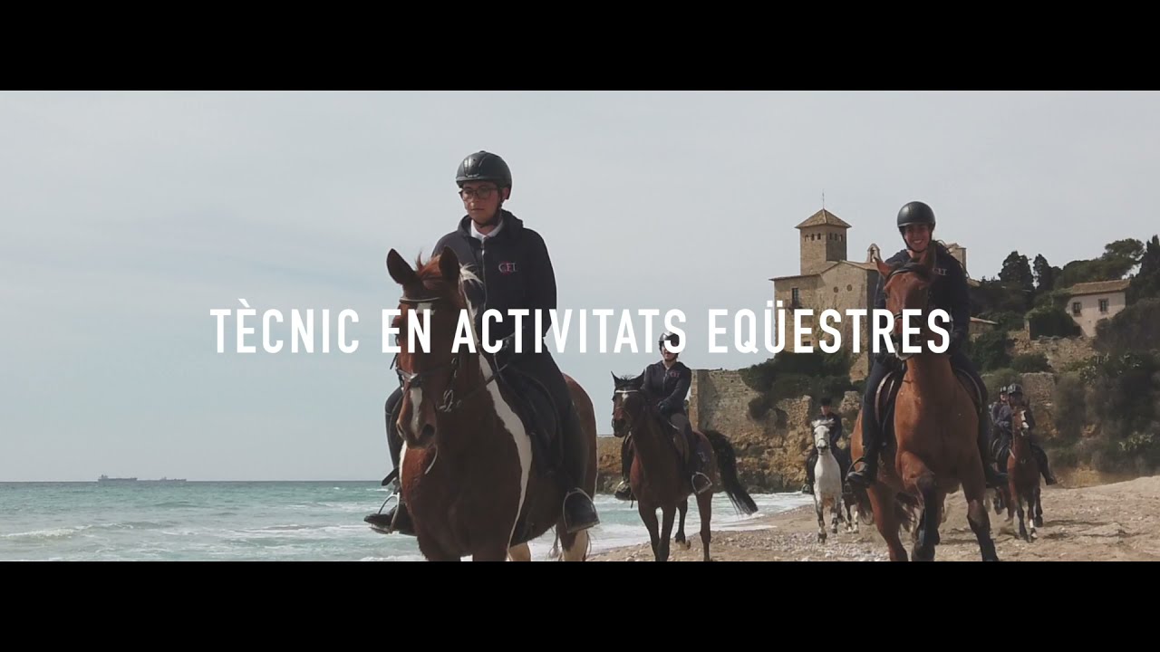 Tècnic en Activitats Eqüestres