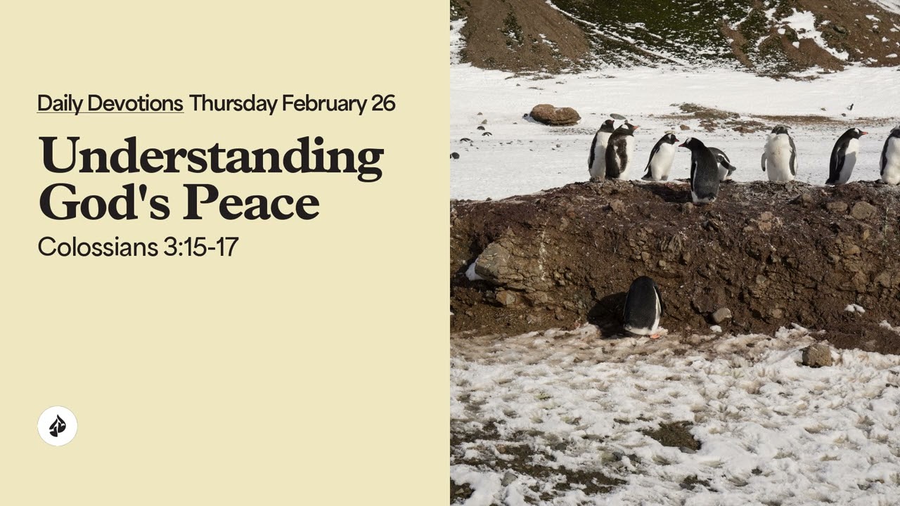 Understanding God&rsquo;s Peace &ndash; Daily Devotional