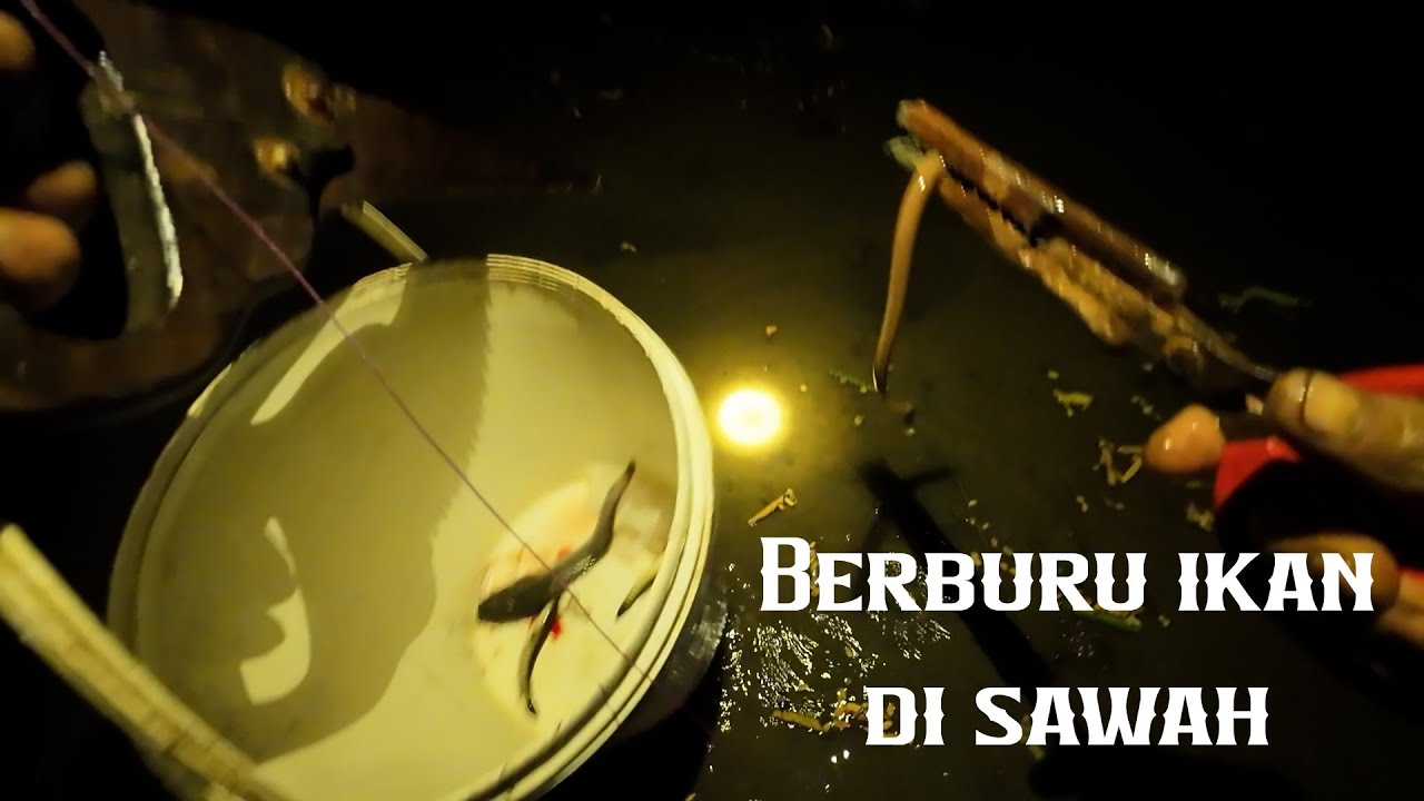 POV ngobor/mencari ikan