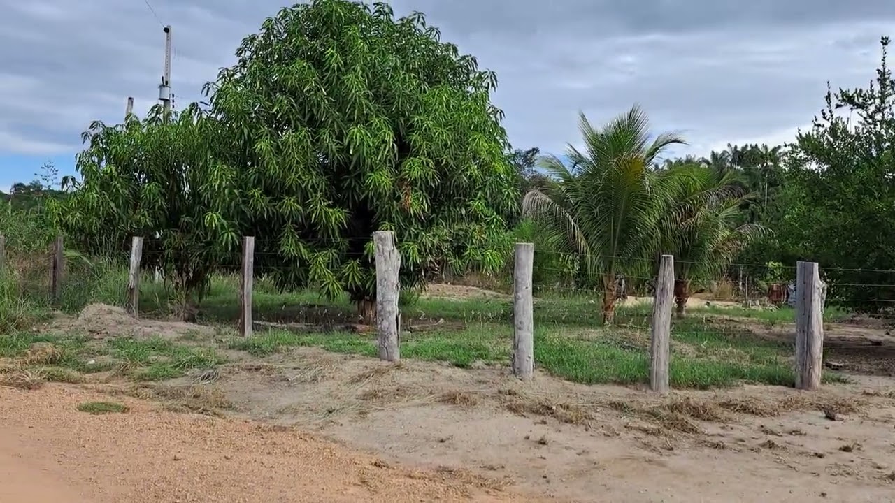 Assentamento próximo a vila Tamandaré