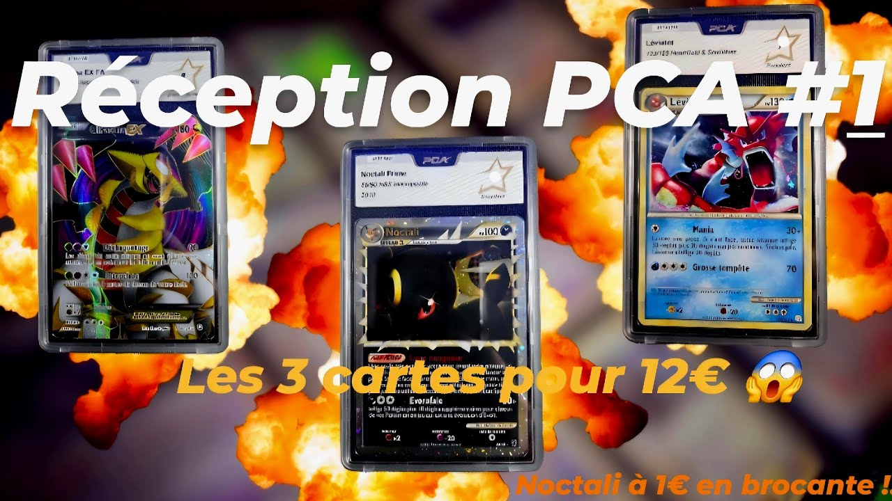 Réception PCA #1 le lot de cartes à moins de 12€ 😱