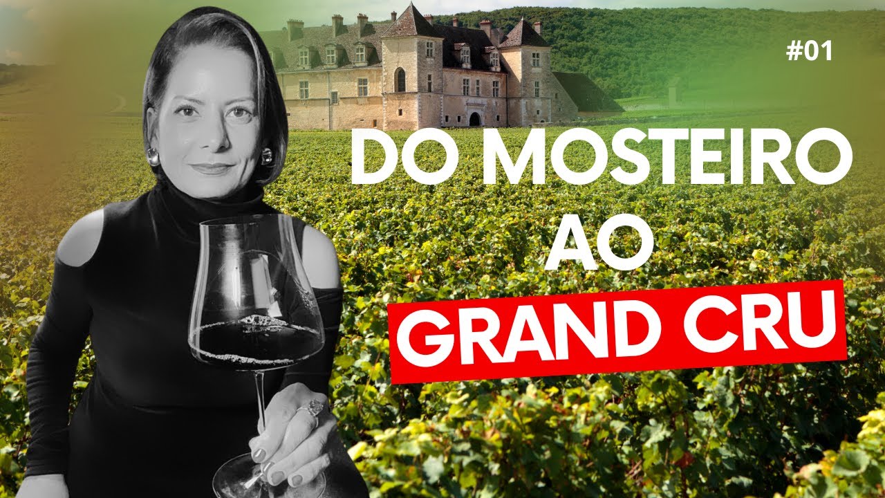 Por Que a França se Tornou a Maior Referência Mundial em Vinhos de Qualidade?