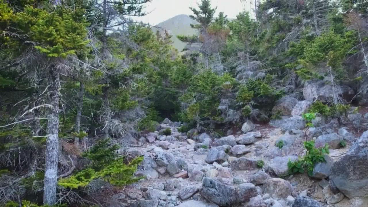 Healing outdoors with ecotherapy