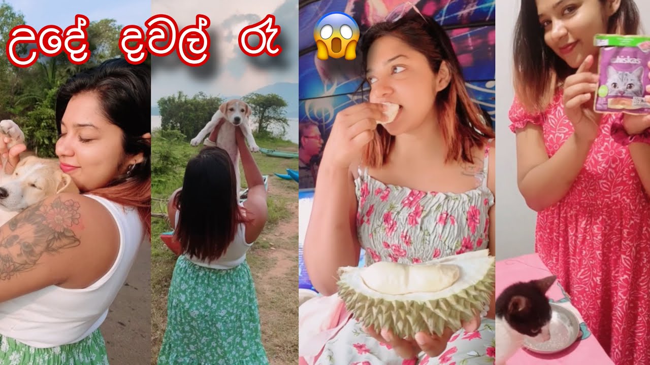 පාන්දර පහට දඹුල්ලේ, රෑ දහයට නුවර 😱 #dogrescuer  #animallover  #foryou  #minivlog  #happyday  #dogs