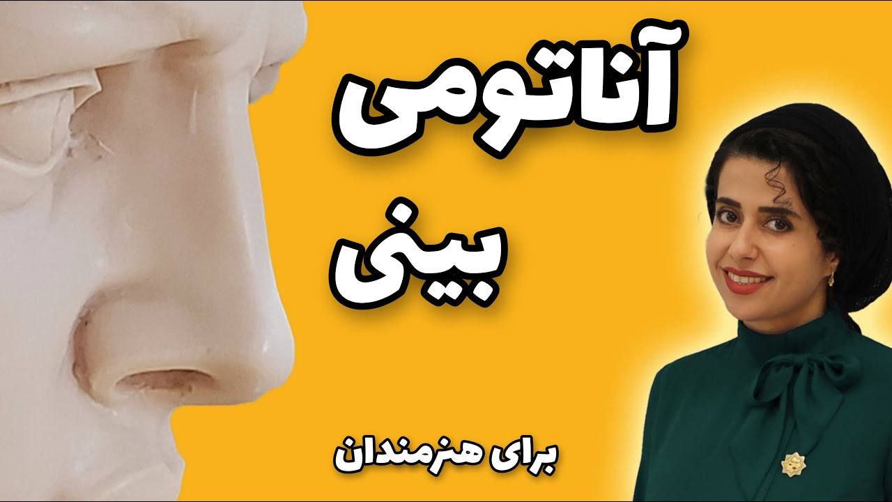 آموزش آناتومی بینی | آموزش طراحی