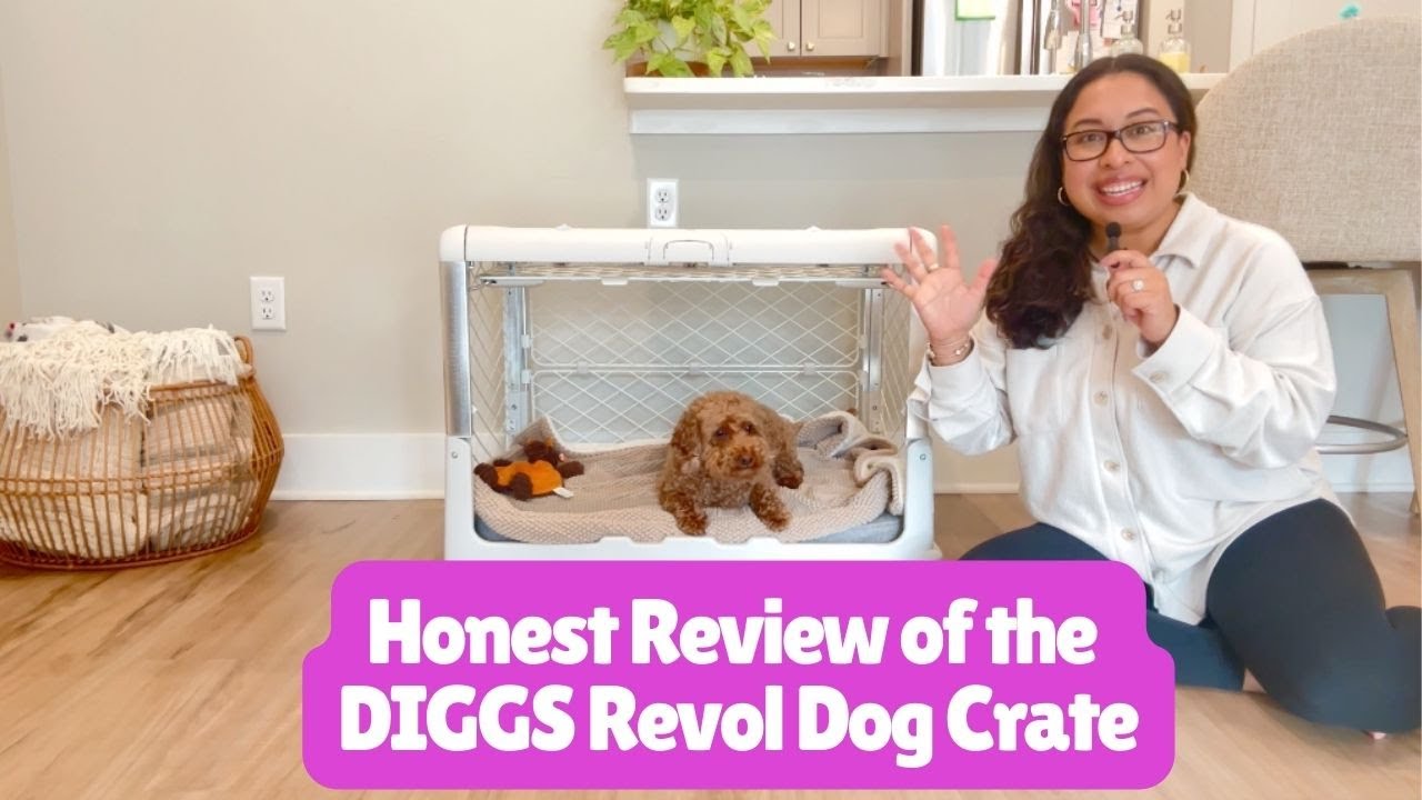 Honest Review of the DIGGS Revol Dog Crate