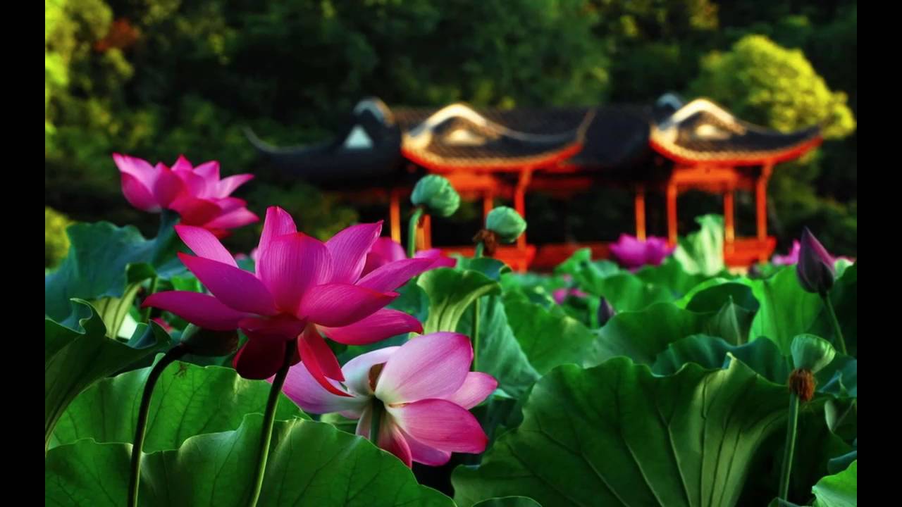 Thi sám Cửu Huyền Thất Tổ của Thiện Quang cư sĩ