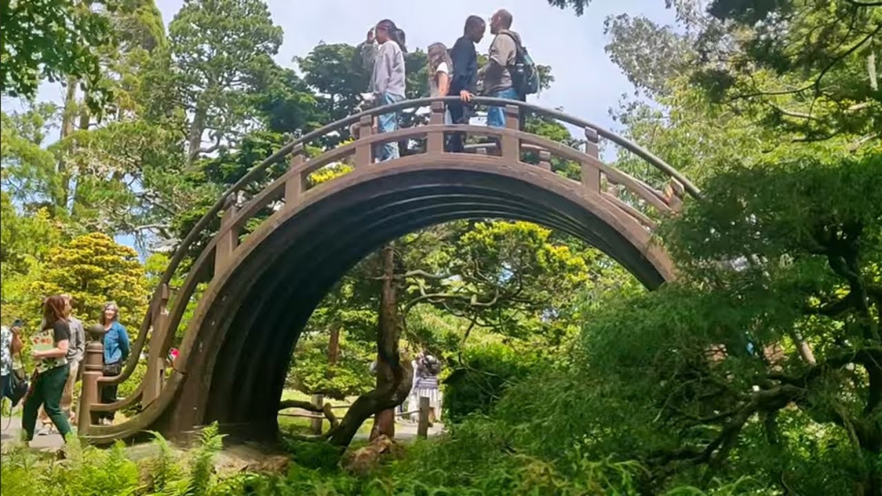 San Francisco.Japanese garden,Lands End .. 2024.