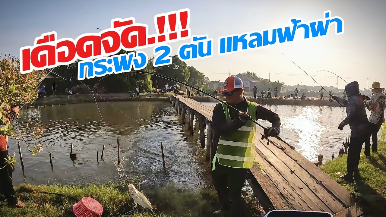 เดือดจัด.!! กระพง​ 2ตัน​ 