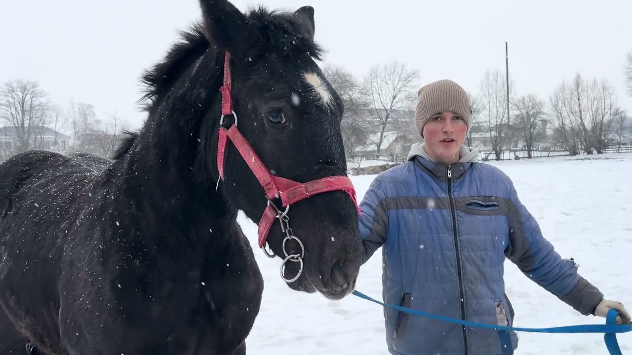 🔥Молодий господар з неймовірними кіньми🔥