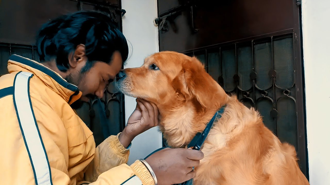 Itna pyar kha milega 🤗😘❤️vlog #dog #viral @Deepakvlogs-DK-V