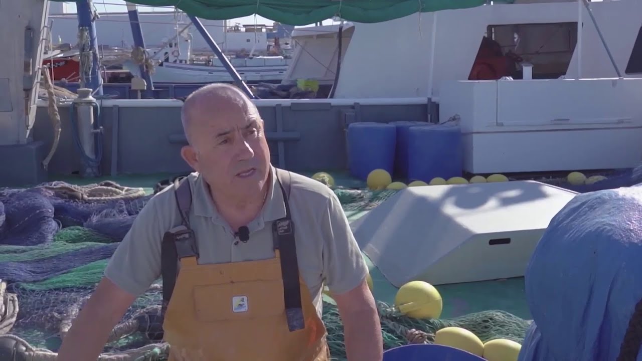 Descobreix l'Aqüeducte, el Serrallo i els castells de la mà dels Xiquets del Serrallo amb Enclaves⚓️