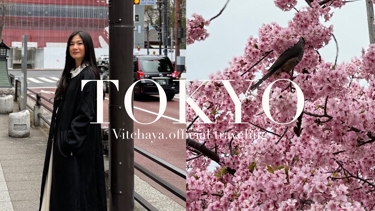 Tokyo Japan vlog 2026 My favorite town Kichijoji shopping guide 