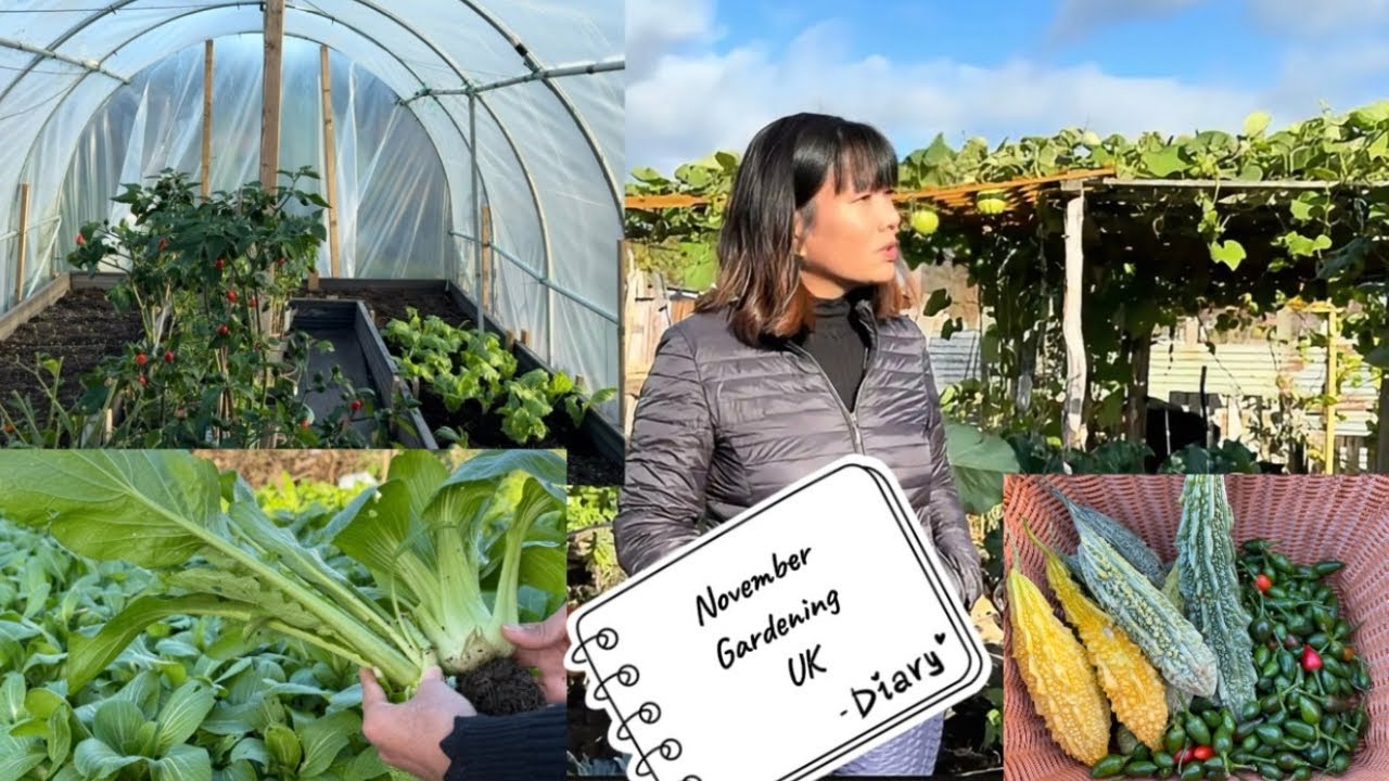 नोभेम्बरमा पनि सब्जीबारीमा सब्जीहरु टन्नै | November Nepali Vegetables Garden Full Of Vegetables |