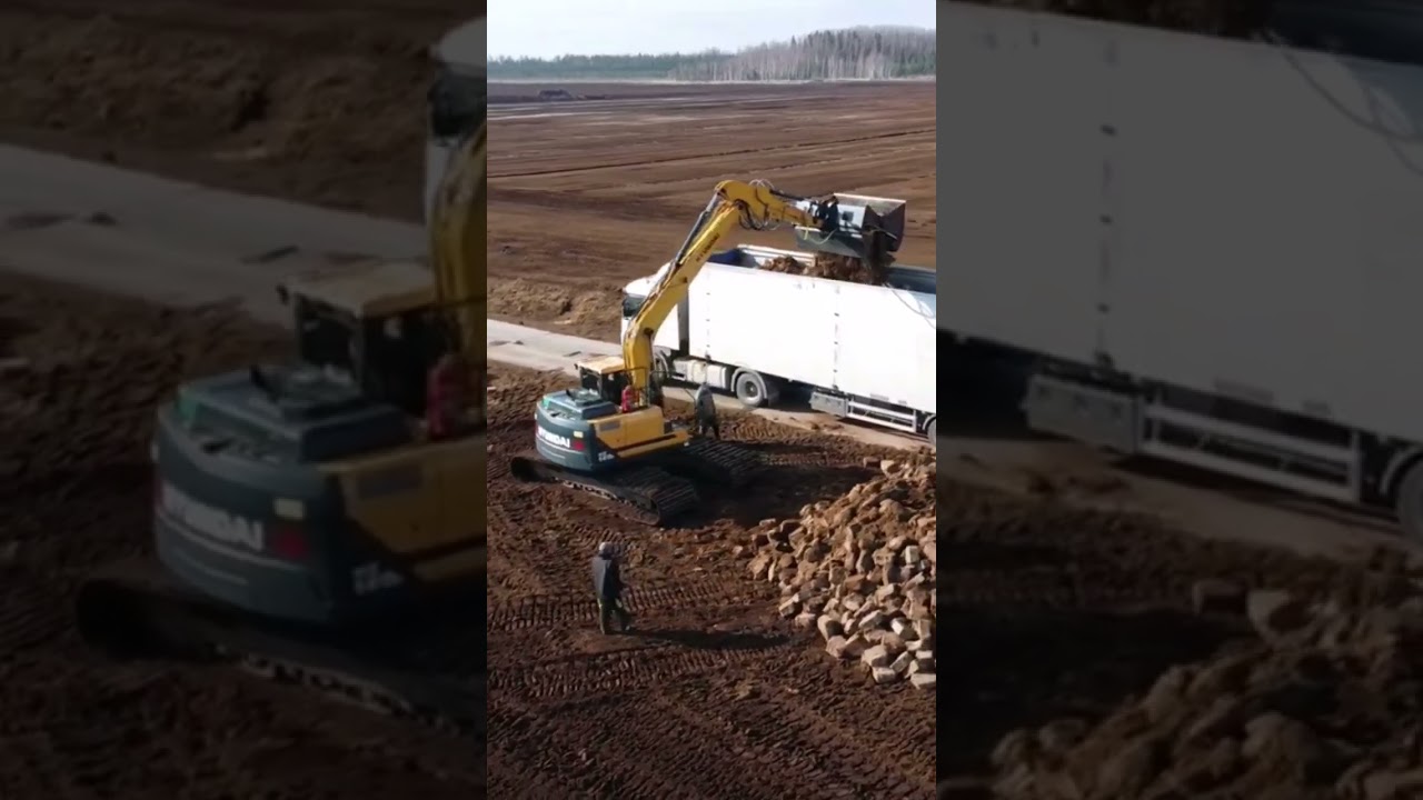 excavator loading truck #shorts #excavator #peat #bog #peatexcavator #swamp #экскаватор