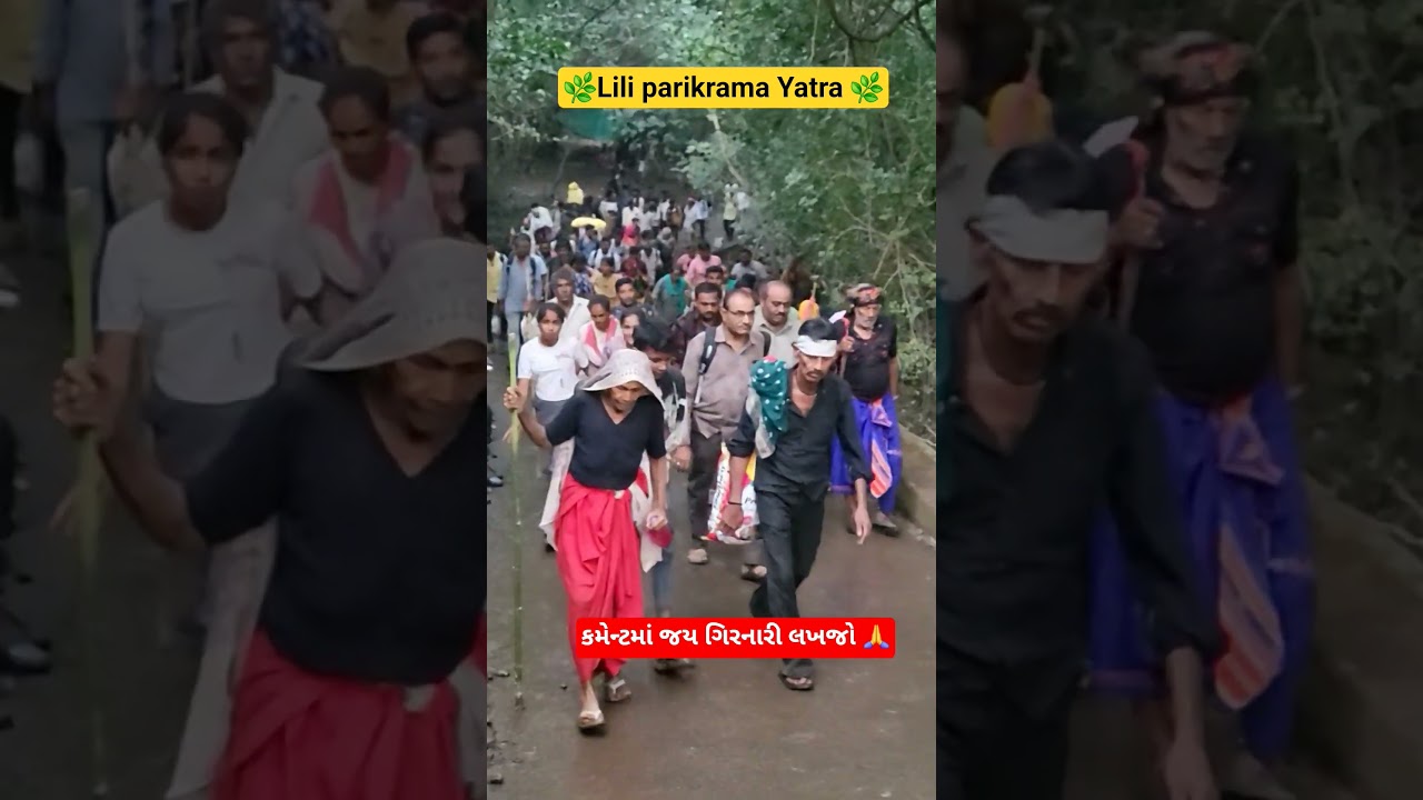 Girnar Lili Parikrama 2025 | ગિરનાર લીલી પરિક્રમા 2025 | Girnar Parikrama Live | Junagadh Yatra#lili