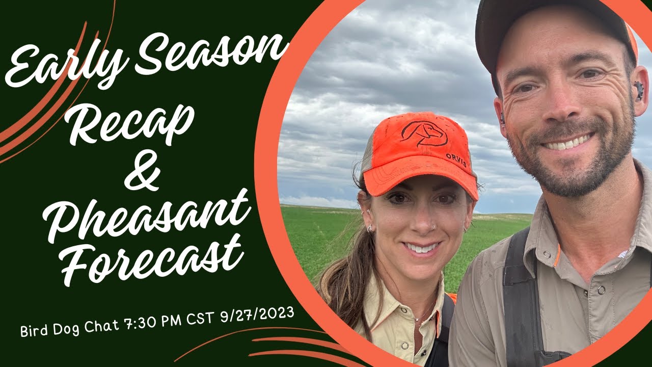 Early Season Recap & Pheasant Forecast - Bird Dog Chat With Ethan And Kat