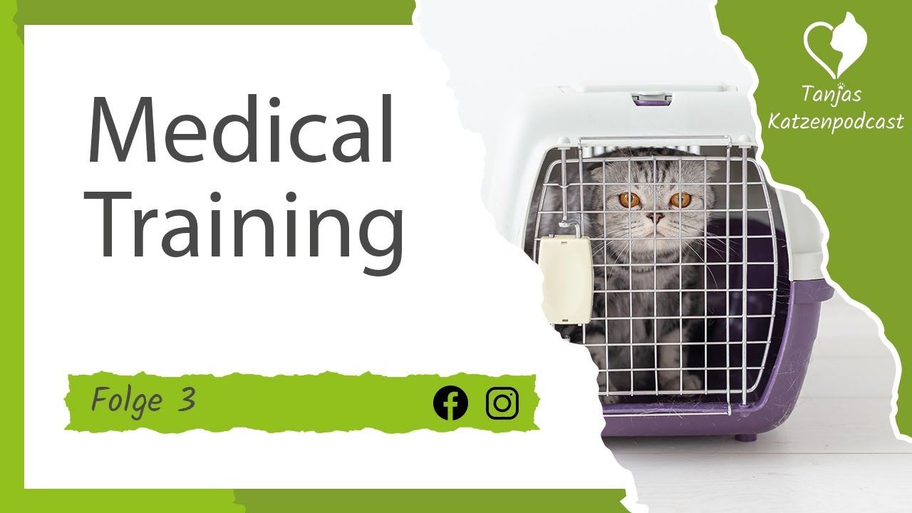 Folge 3: Medical Training