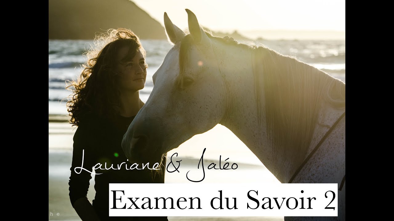 Examen du Savoir 2 d'équitation éthologique
