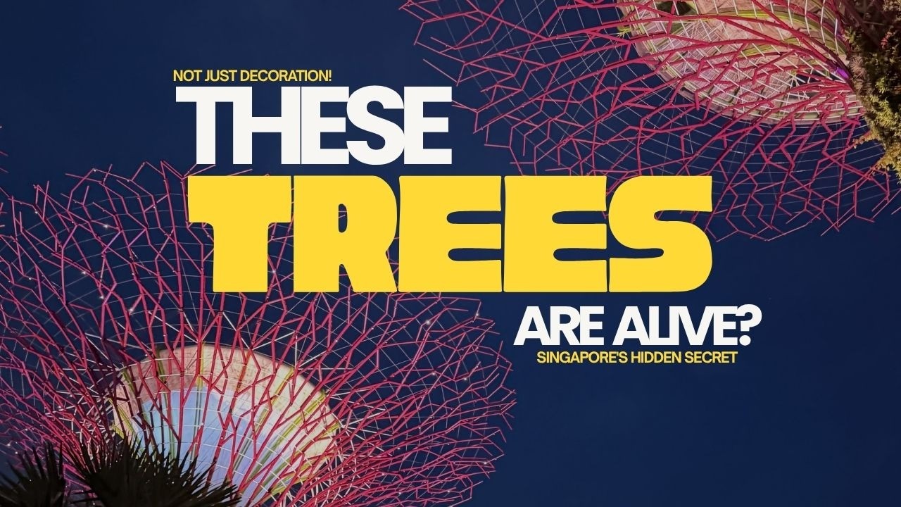Did You Know Singapore's Supertrees Generate Solar Energy? | Gardens by the Bay Secrets