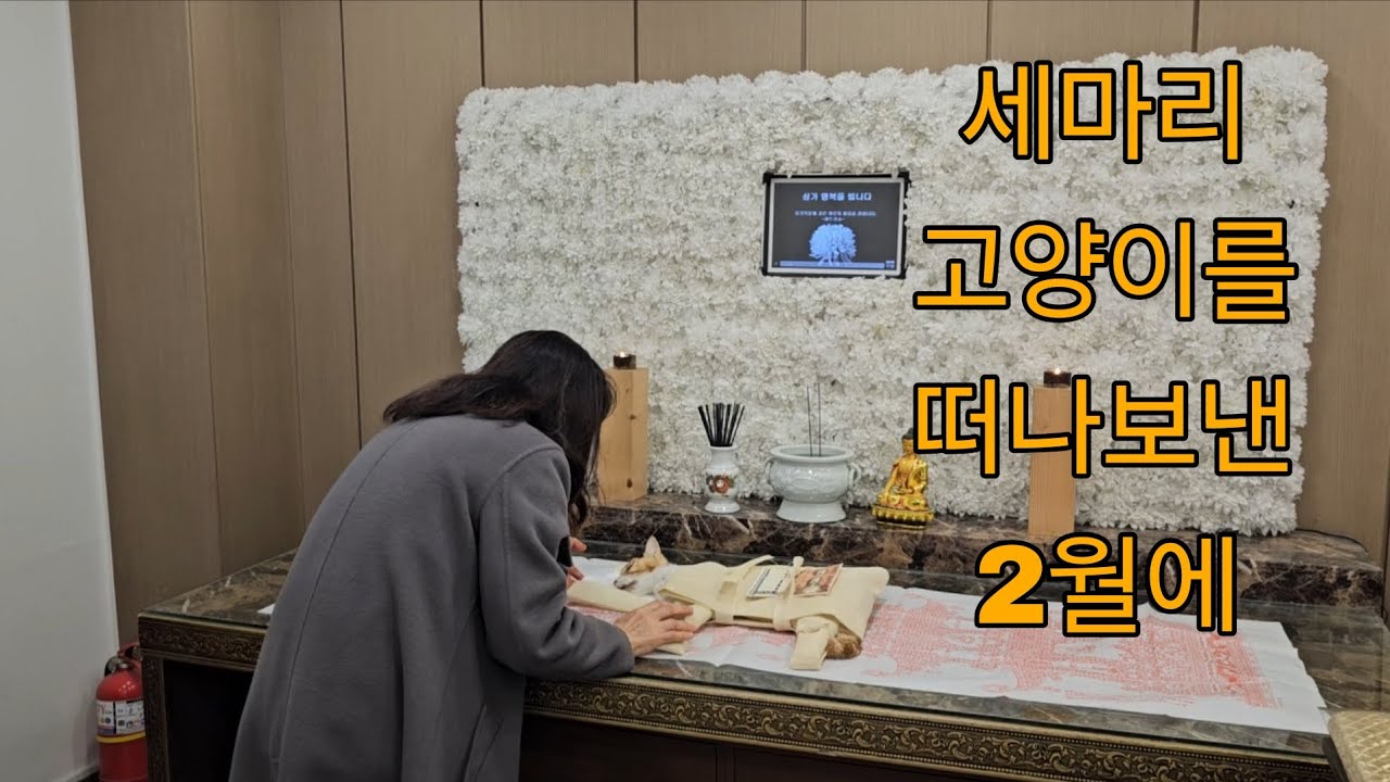 (2026.3.6) 2월 세번의 이별 정남이 캔 구일이의 명복을 빕니다