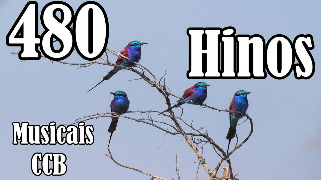 480 Hinos Cantados CCB - 1,2,3,4,5,6,7,8,9,10,11,12,13,14,15,16,17,18,19,20,21... - Musicais CCB