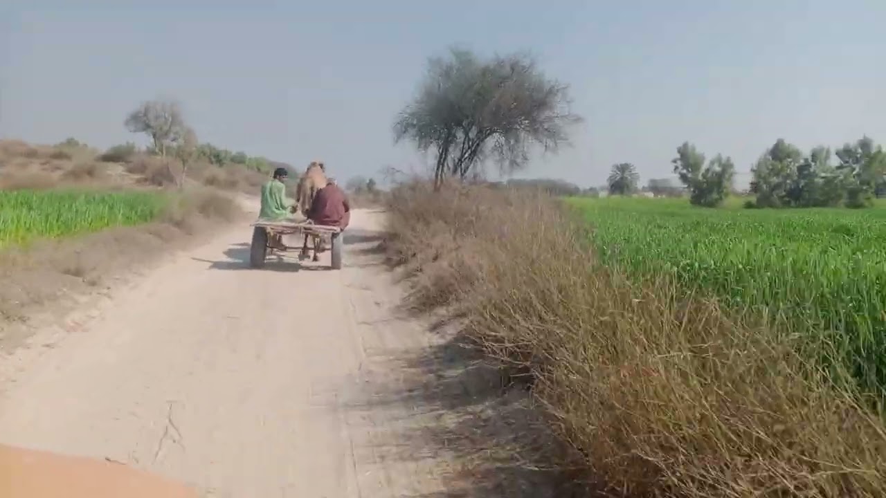 بے روزگار گروپ next part vilog 