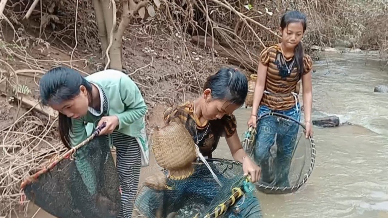 วิถีชีวิตน้องไชทำมาหากิน13 พฤศจิกายน ค.ศ. 2025