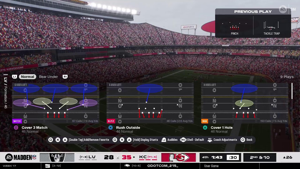 Vikes_fan_james