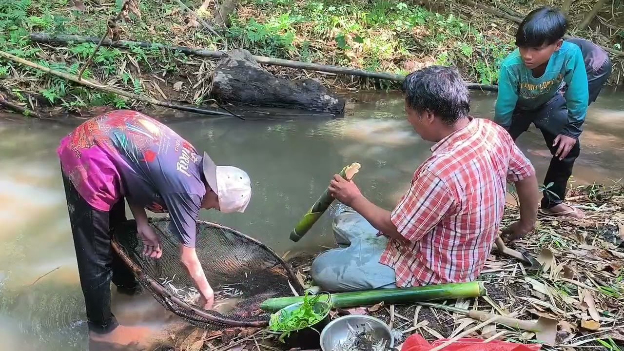 #เข้าป่า,หากินตามห้วย#ເຂົ້າປ່າ,ຫາກິນຕາມຫ້ວຍ