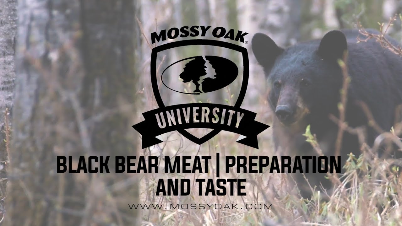Black Bear Meat | Preparation and Taste