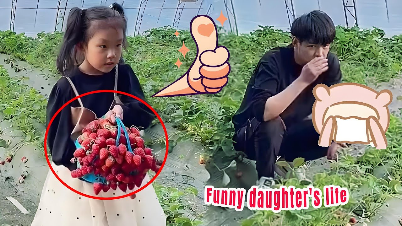 I Don't Know If My Daughter Will Be Beaten For Packing Strawberries Like This.#funny#comedy#cutebaby