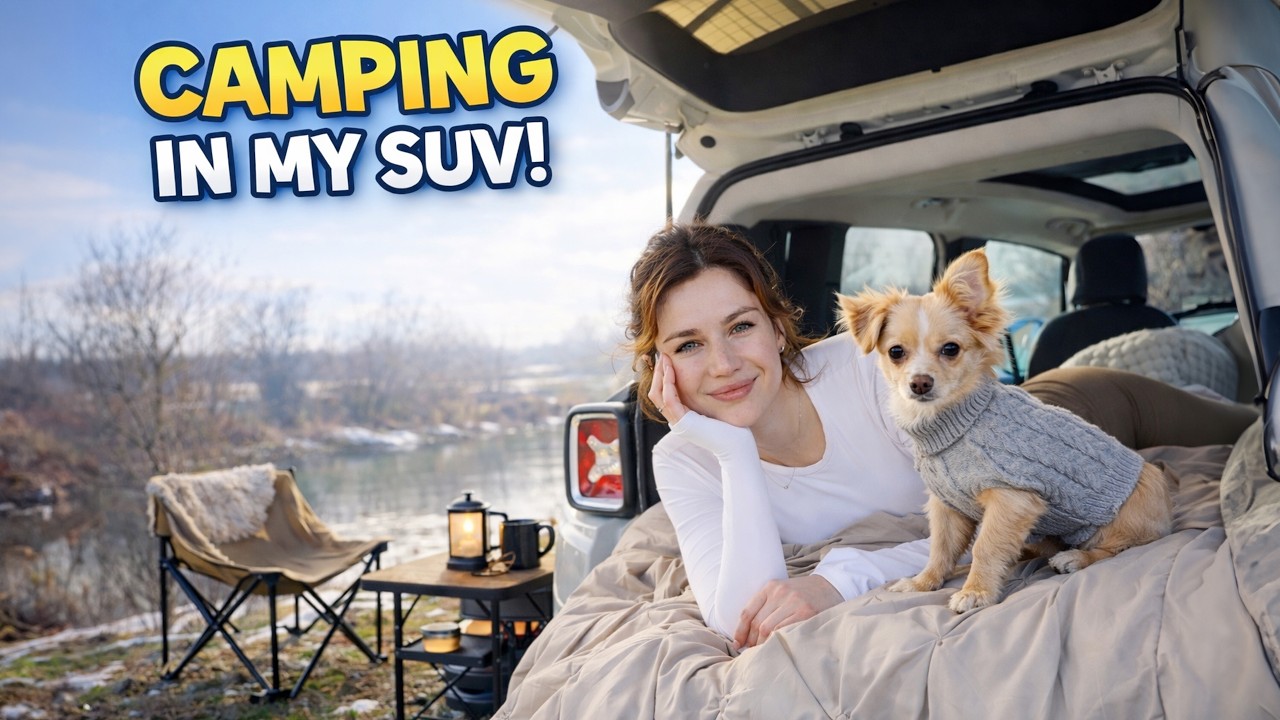 Swans Stopped by My Camp | A Chill SUV Day | ASMR